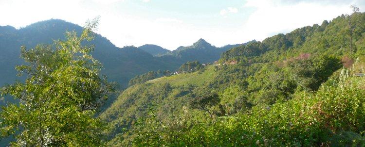 doi-ang-khang-1.jpg