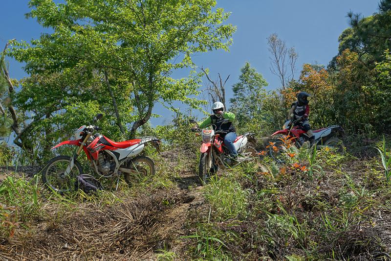 doi-mae-salong-dirt-road-1-small.jpg