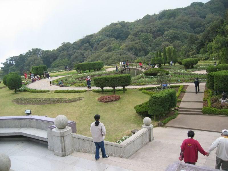 Doi_Int002.jpg