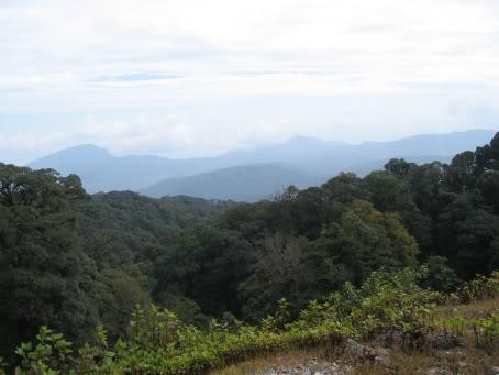 DoiInthanon012.jpg