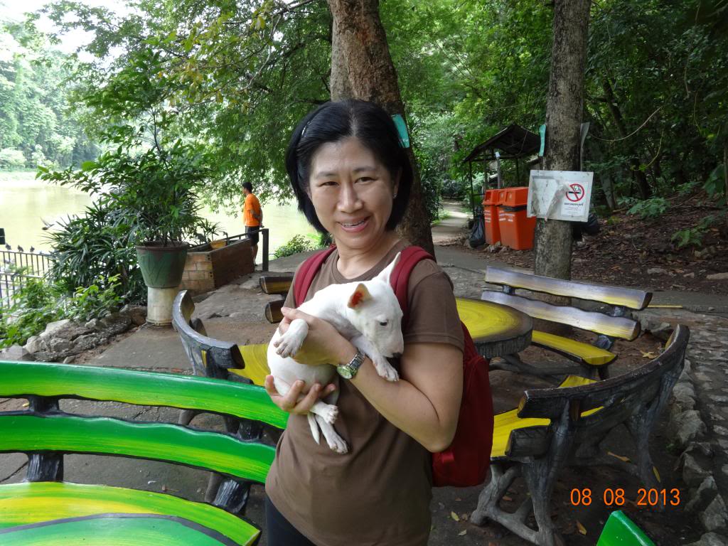 DSC00233_zps2b6ae9c1.jpg