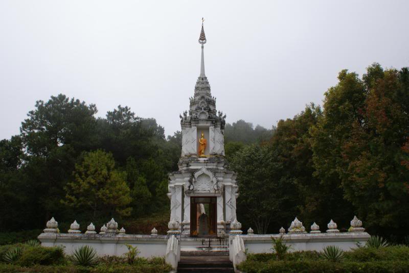 DSC00721.jpg