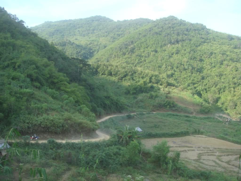 DSC00731.jpg