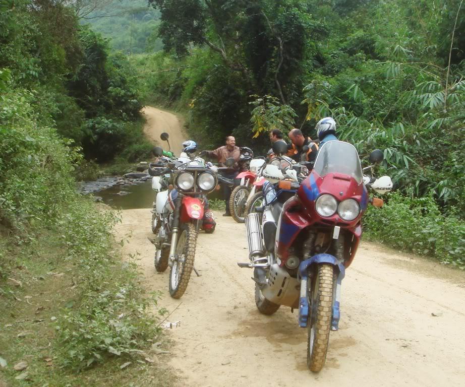 DSC00805.jpg