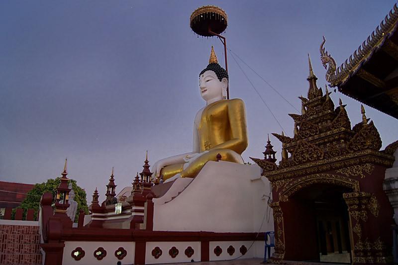 DSC01007d.jpg