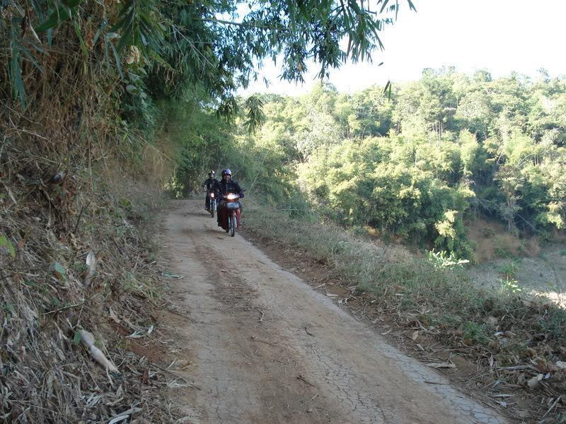 DSC01043.jpg