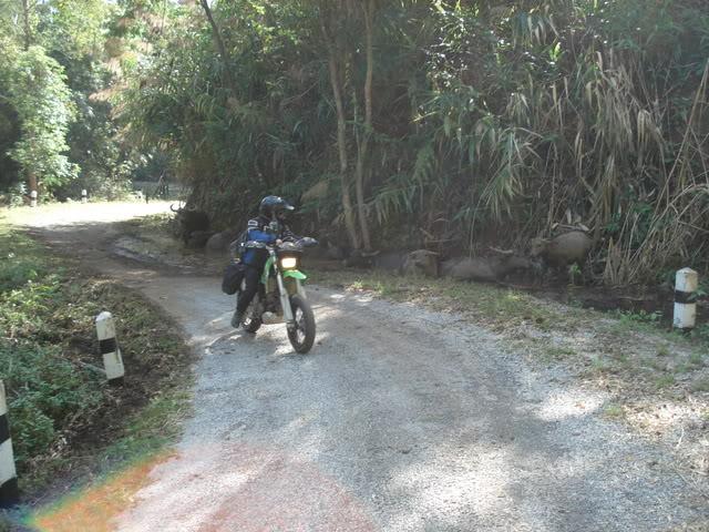 DSC01510.jpg