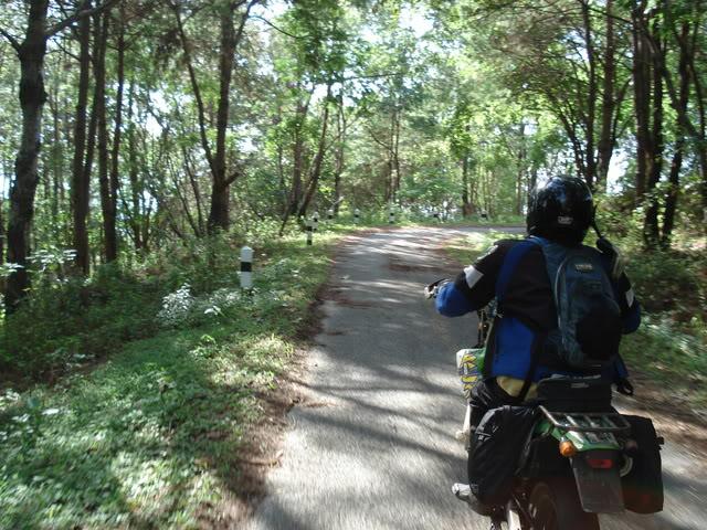 DSC01517.jpg