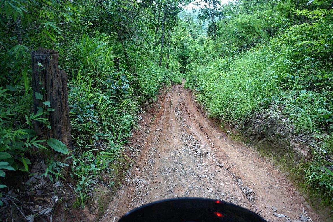 dsc01679-jpg.jpg