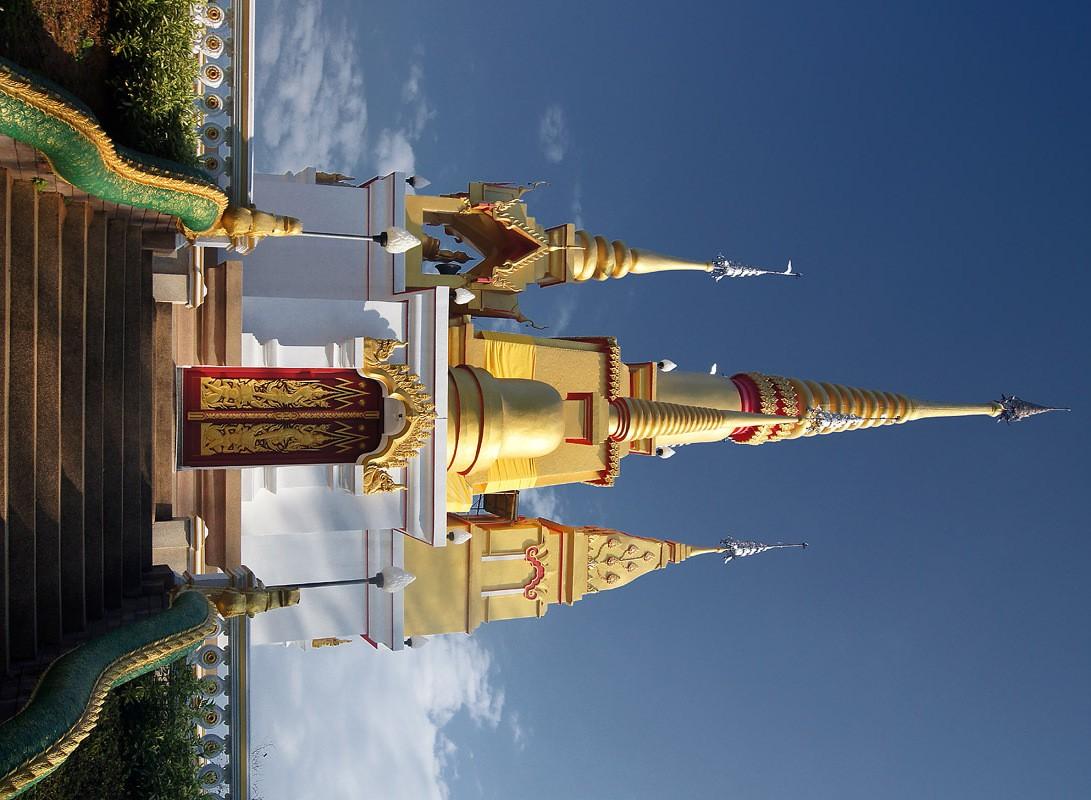 DSC02202c.jpg