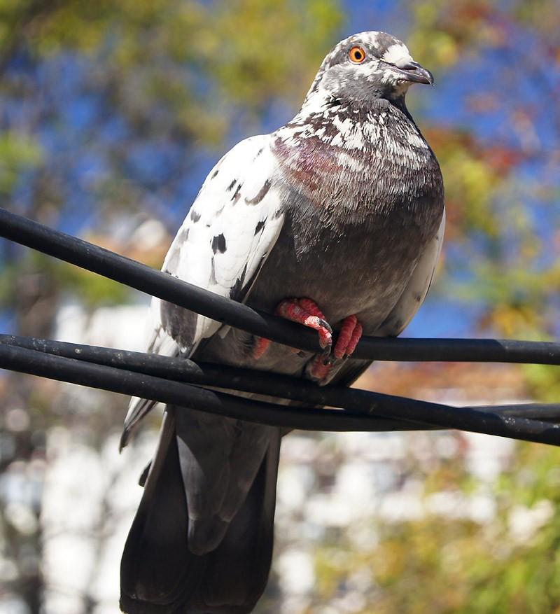 DSC02413d.jpg