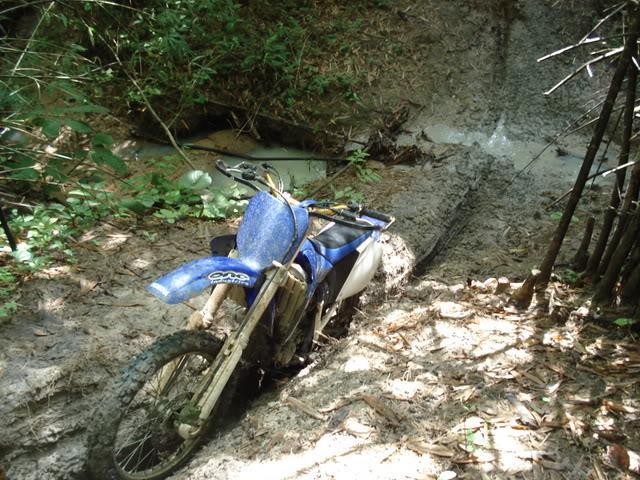 DSC02439.jpg