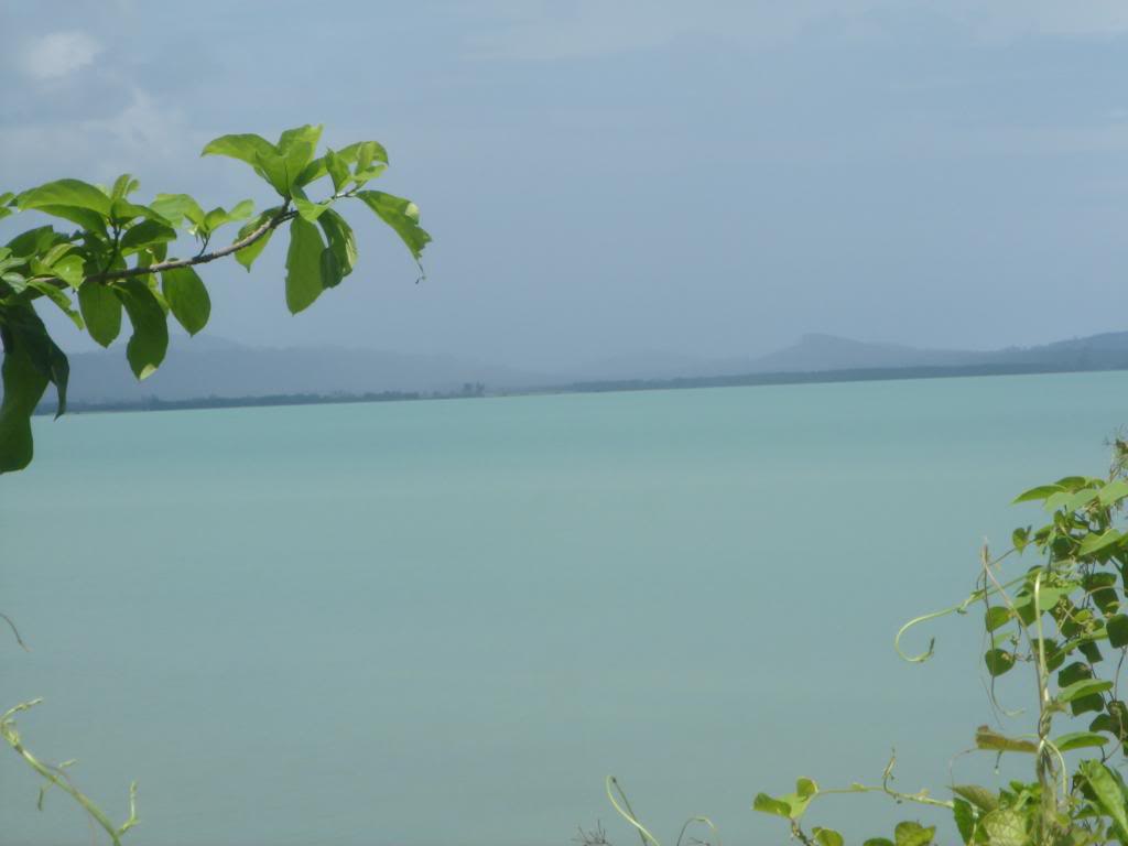 DSC02869.jpg