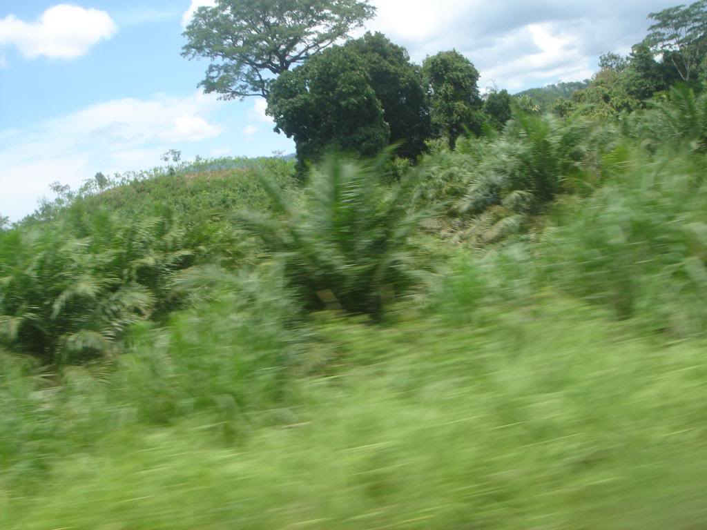 DSC02903.jpg