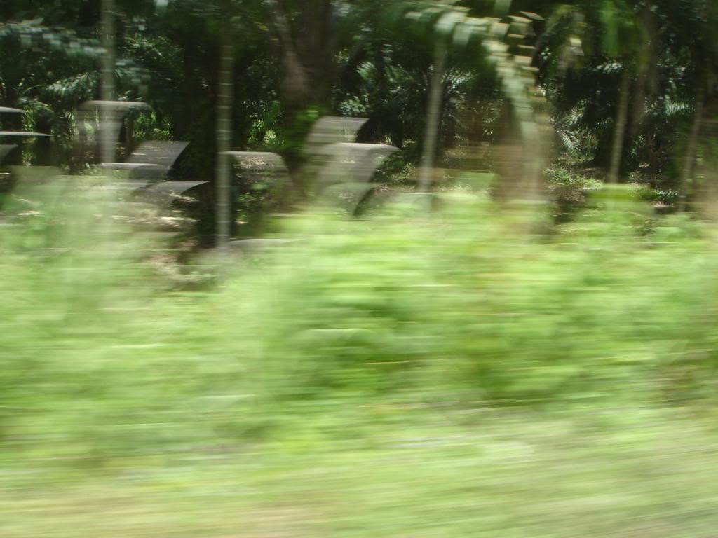 DSC02907.jpg