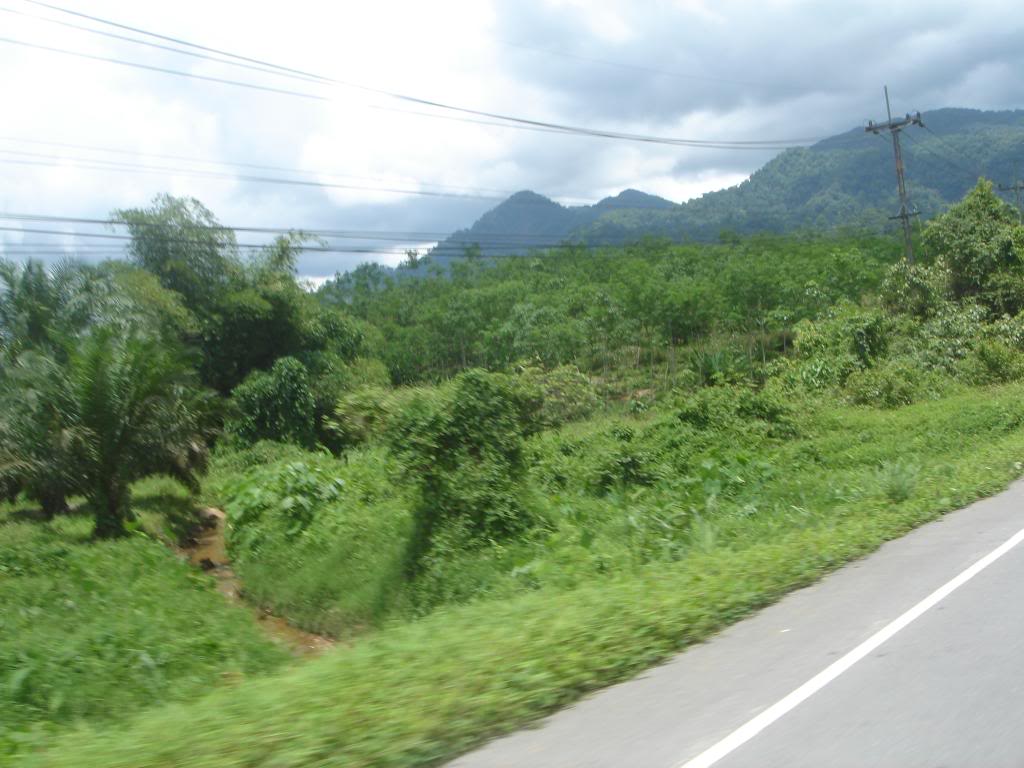 DSC02929.jpg