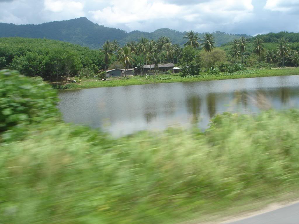 DSC02940.jpg