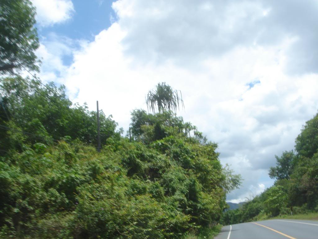 DSC02945.jpg