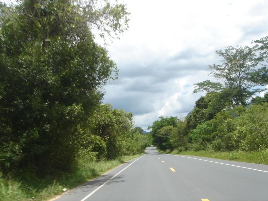 DSC02947.jpg