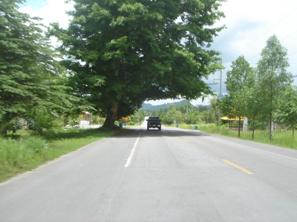DSC02953.jpg