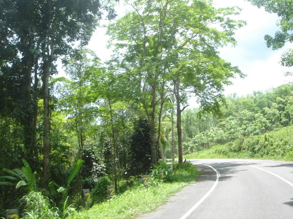 DSC02957.jpg