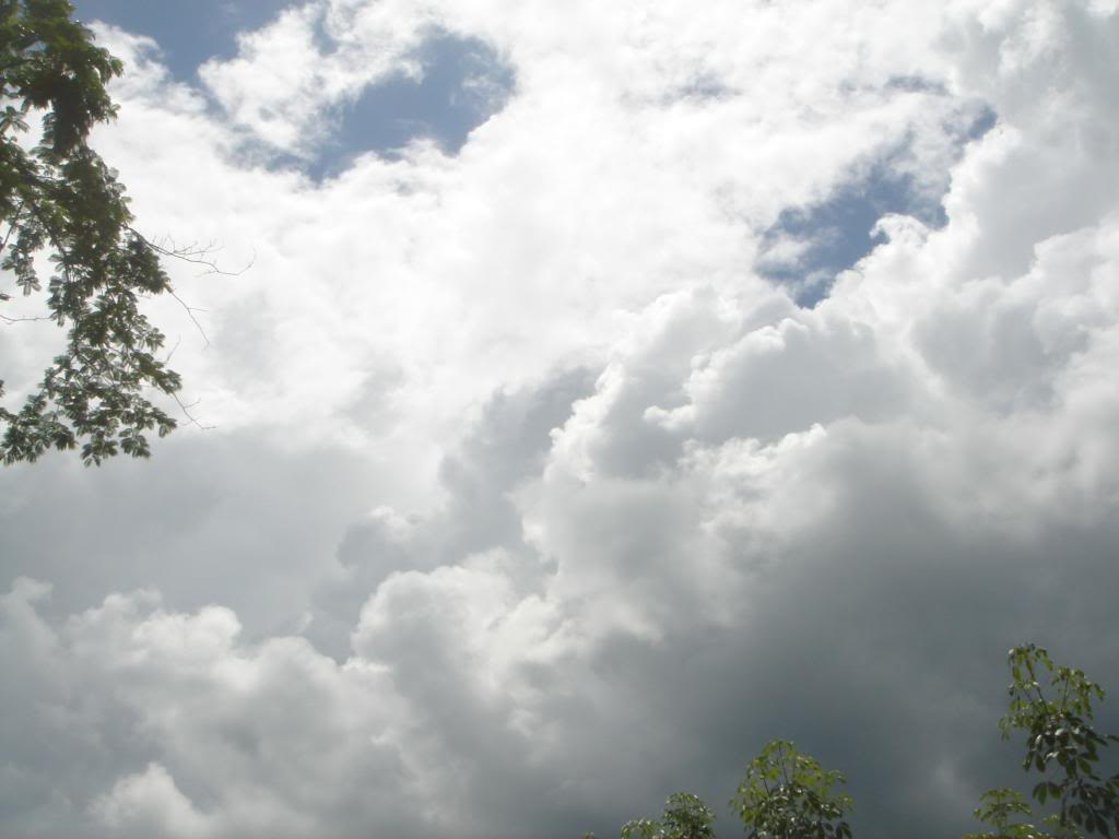 DSC02958.jpg