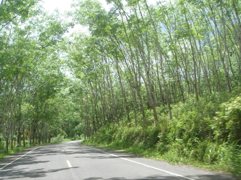 DSC02960.jpg
