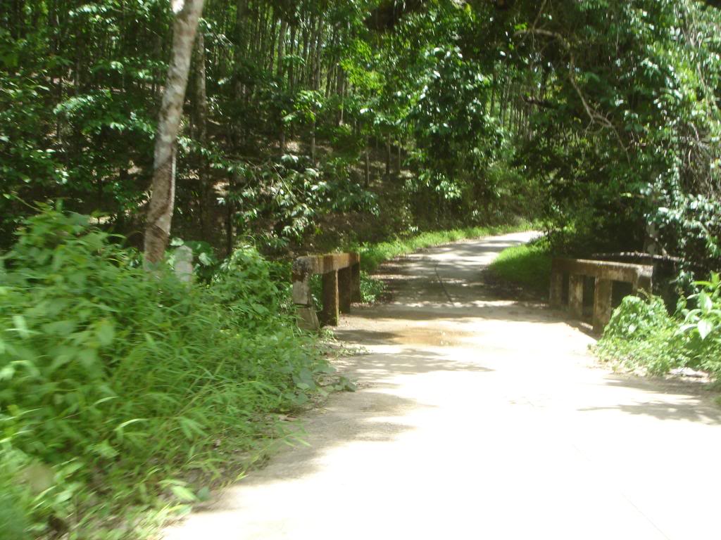 DSC02961.jpg