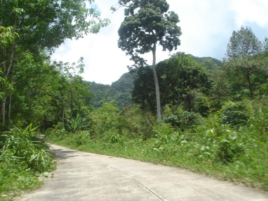 DSC02962.jpg
