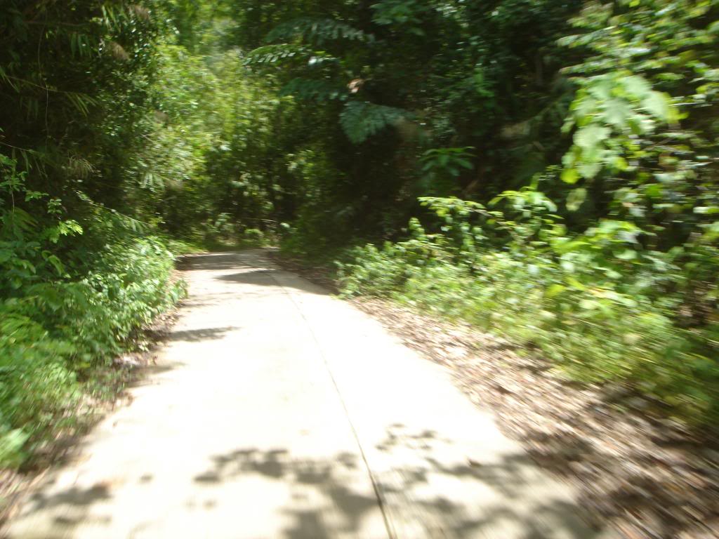 DSC02965.jpg