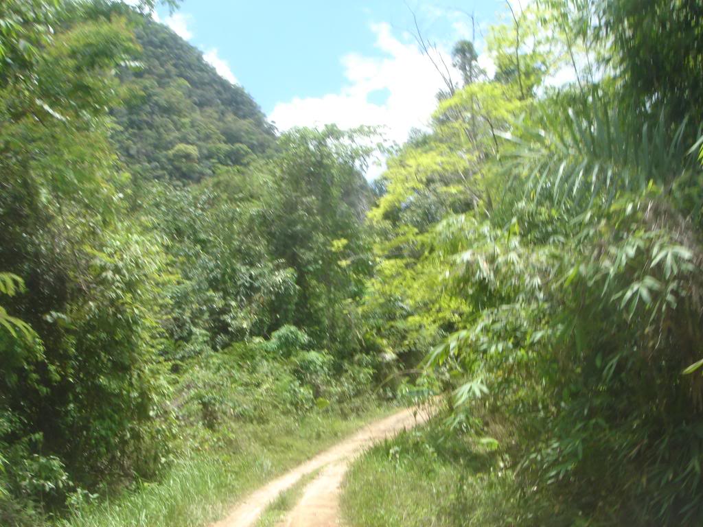 DSC02967.jpg
