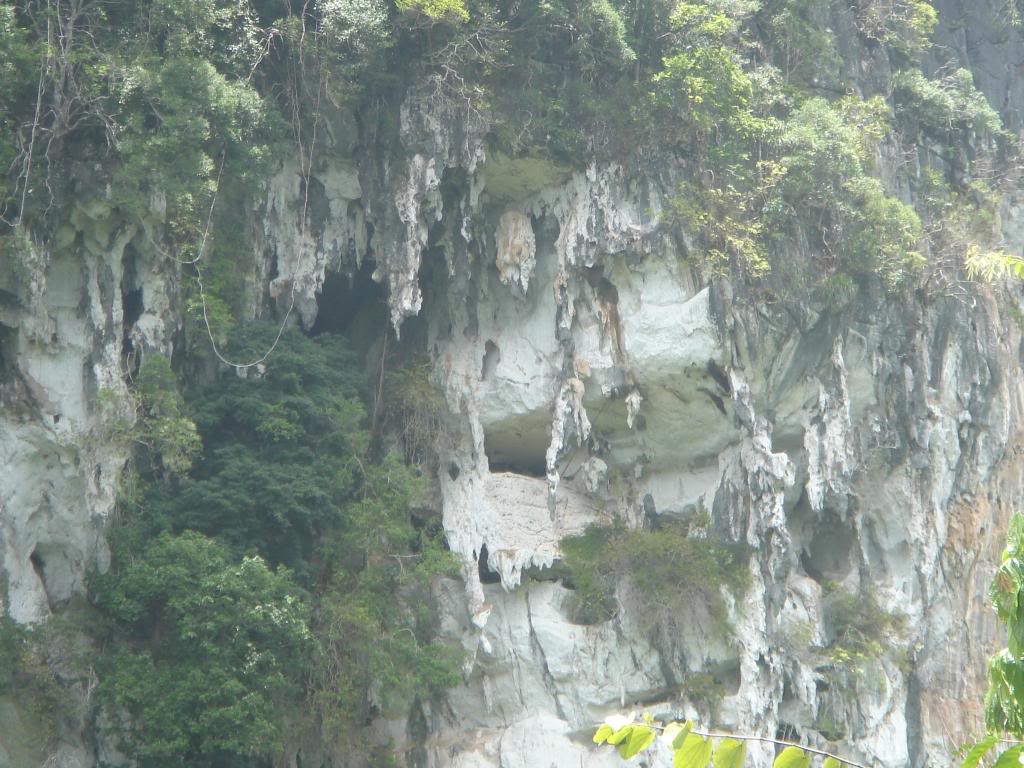 DSC02969.jpg