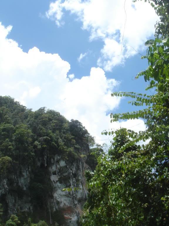 DSC02972.jpg