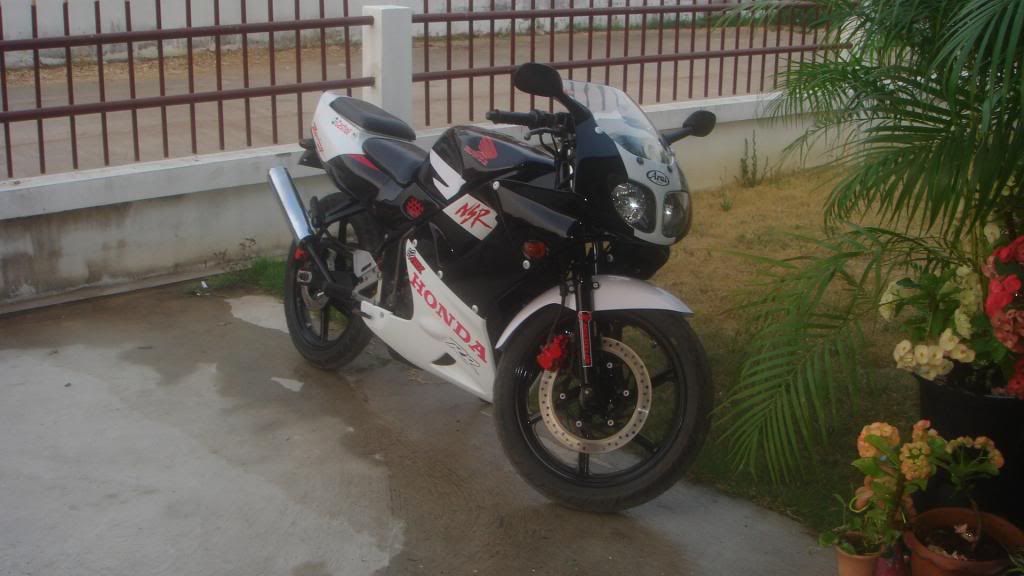 DSC03011.jpg