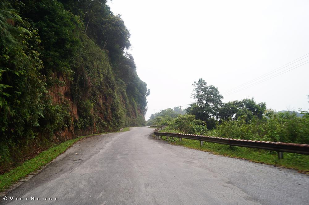 DSC04374_zpsaba1d002.jpg