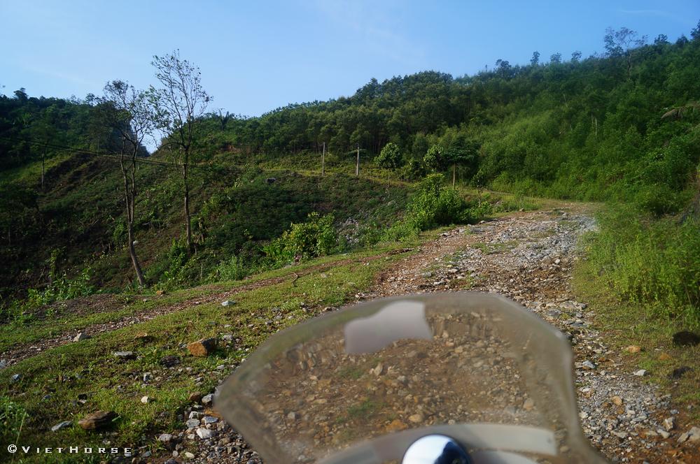 DSC04522_zps7ab0f0bd.jpg