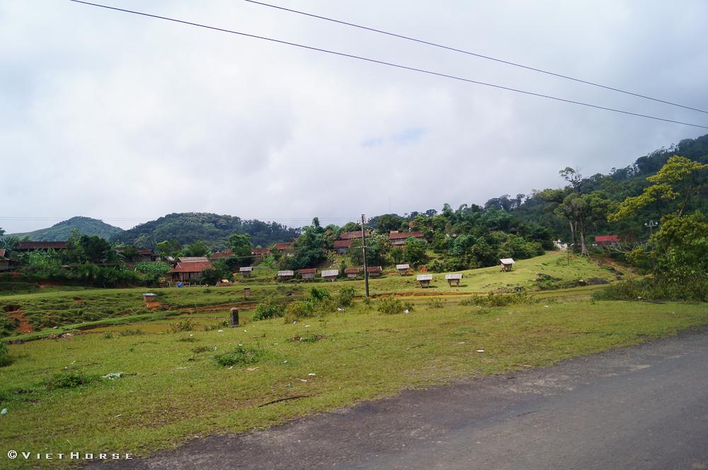 DSC04566_zpsef2f1ec0.jpg