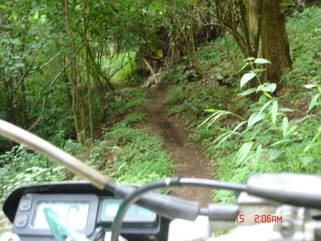 DSC05712.jpg
