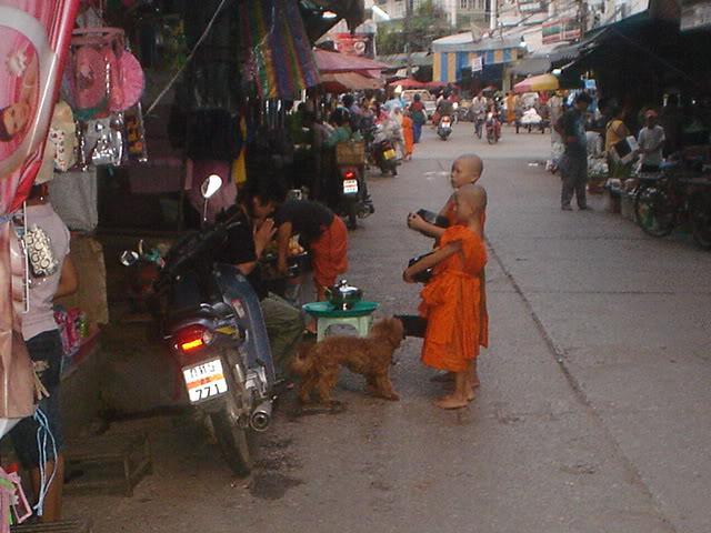 DSC05740.jpg