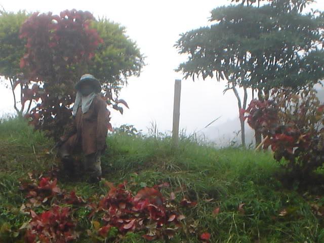 DSC05789.jpg