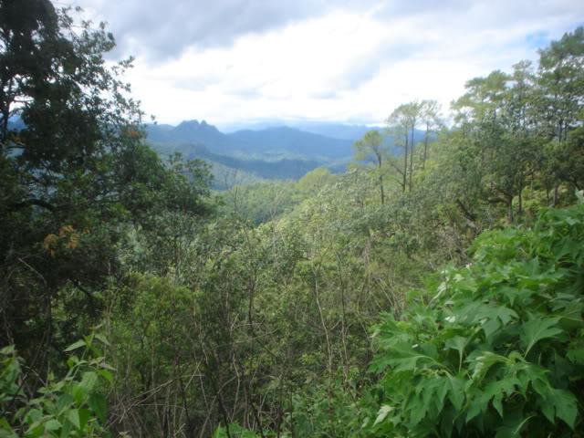 DSC05822.jpg