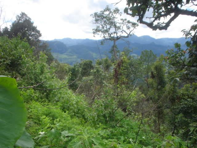 DSC05823.jpg