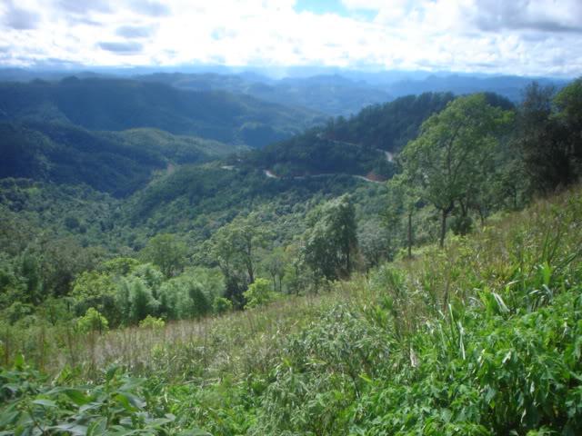 DSC05825.jpg