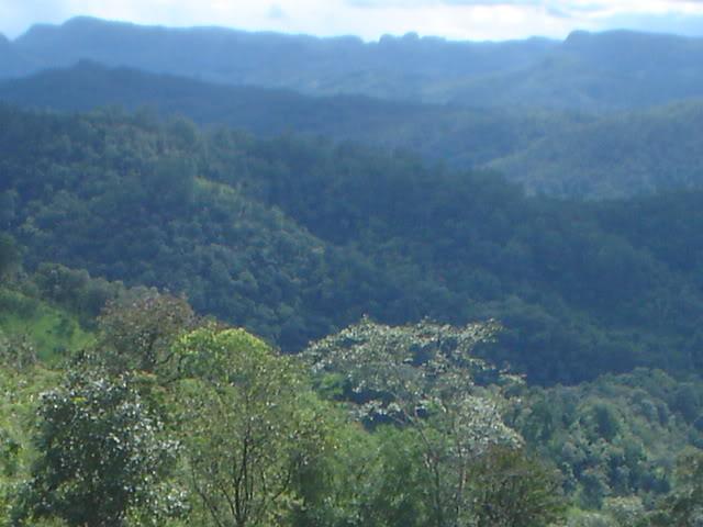 DSC05827.jpg