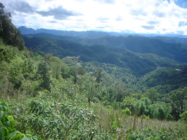 DSC05828.jpg