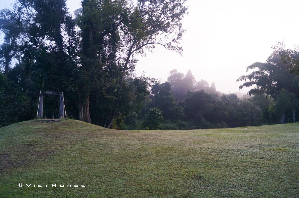 DSC06783_zps3ad03272.jpg