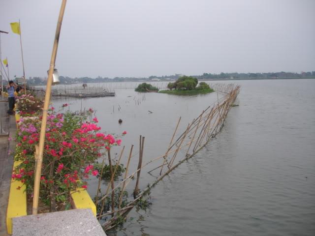 DSC07957.jpg