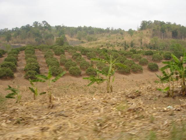 DSC07997.jpg
