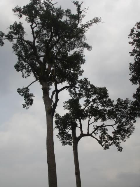 DSC08039.jpg