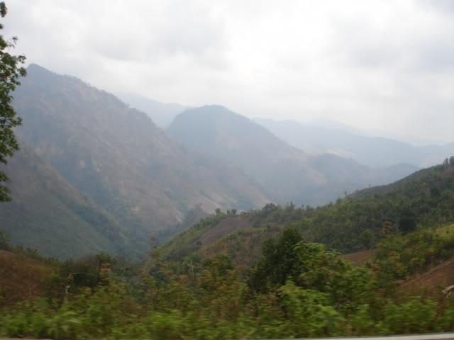 DSC08080.jpg